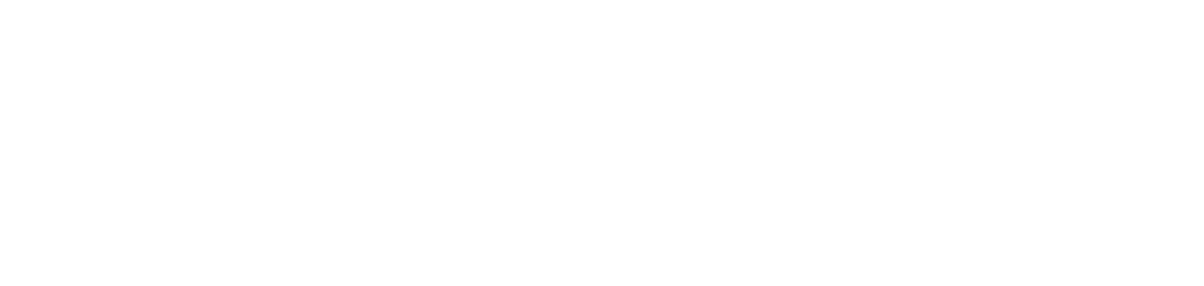 IvoBoost Logo